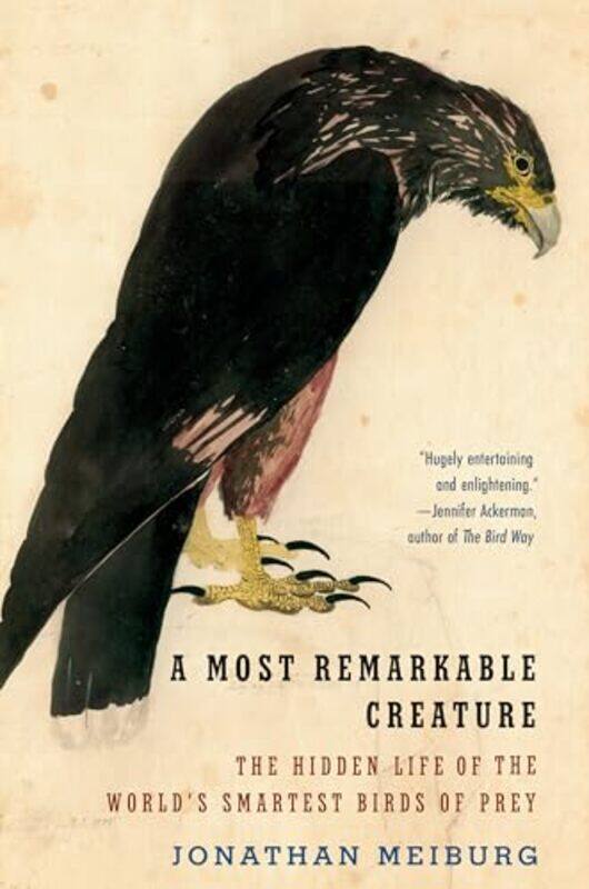 

Most Remarkable Creature By Meiburg Jonathan - Paperback
