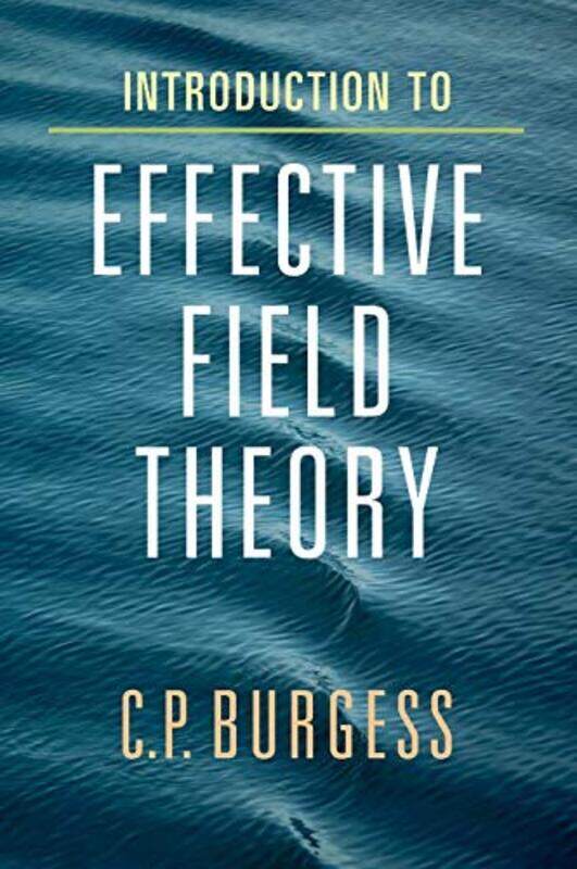 

Introduction to Effective Field Theory by Natasha PaulErin Brown-Hardcover