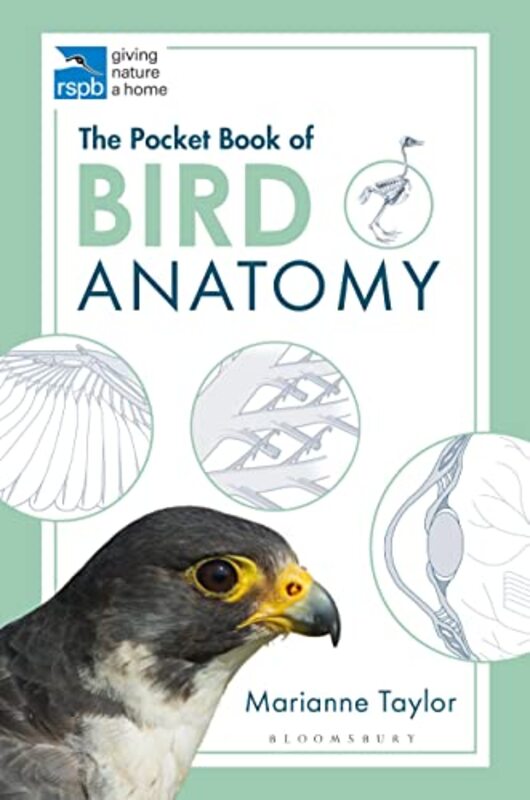 The Pocket Book Of Bird Anatomy by Taylor, Marianne -Paperback