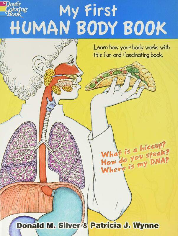 

My First Human Body Book, Paperback Book, By: Patricia J. Wynne