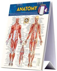Anatomy Easel Book By Vincent Perez - Paperback