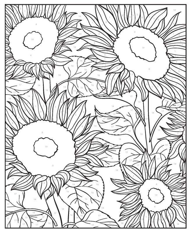 Creative Haven Floral Design Colour By Number Colouring Book, Paperback Book, By: Jessica Mazurkiewicz