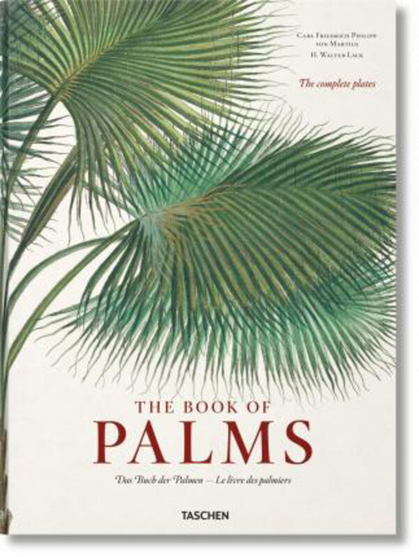 

Martius. The Book of Palms, Hardcover Book, By: H. Walter Lack