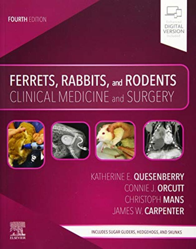 Ferrets, Rabbits, and Rodents: Clinical Medicine and Surgery , Paperback by Quesenberry, Katherine (Diplomate, American Board of Veterinary Practitioners (Avian Practice), Serv