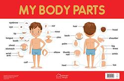 My Body Parts Chart - Early Learning Educational Chart For Kids: Perfect For Homeschooling, Kinderga