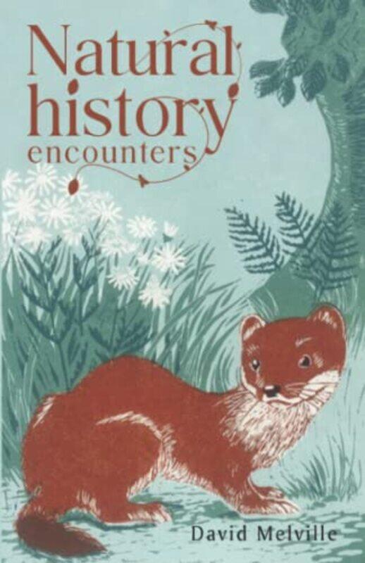 

Natural History Encounters by D J Melville-Paperback