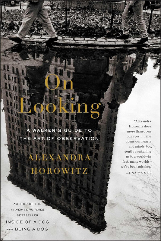 

On Looking: A Walker'S Guide To the Art of Observation, Paperback Book, By: Alexandra Horowitz