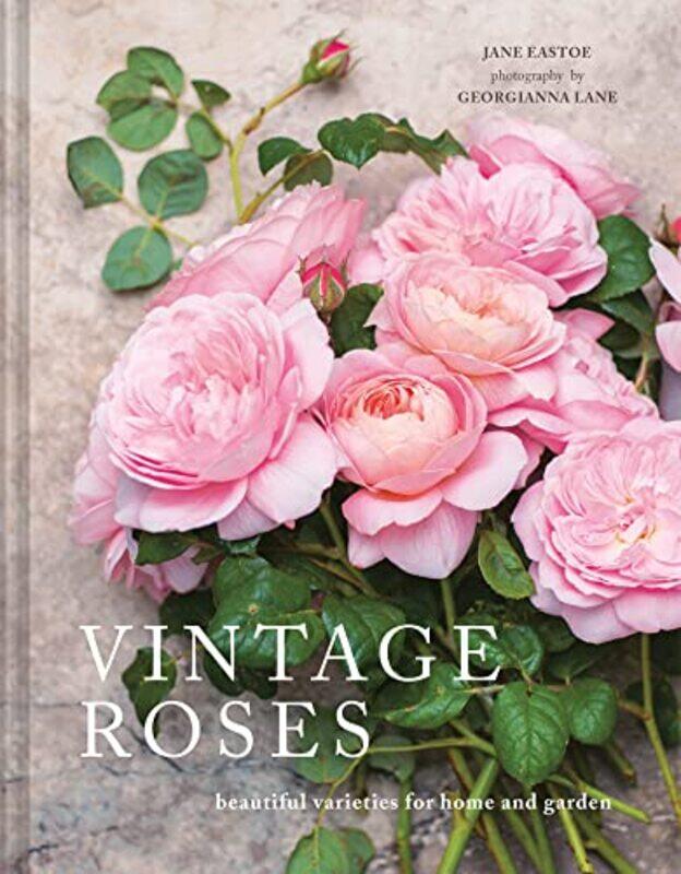 

Vintage Roses by A Lothrop-Hardcover