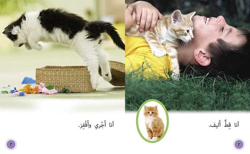 Tame Cat, Wild Cat: Level 8 (Collins Big Cat Arabic Reading Programme), Paperback Book, By: Alison Hawes