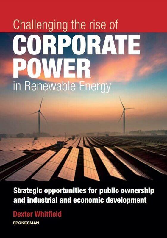 

Challenging the rise of Corporate Power in Renewable Energy by Paul HewittSuzanne LyonsJohn SuchockiJennifer Yeh-Paperback