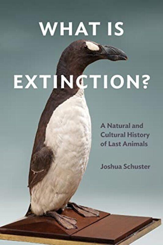 

What Is Extinction by Joshua Schuster-Paperback