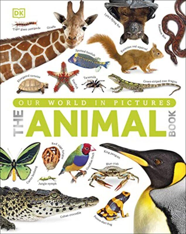 

Our World in Pictures The Animal Book by Radka Hostasova-Hardcover