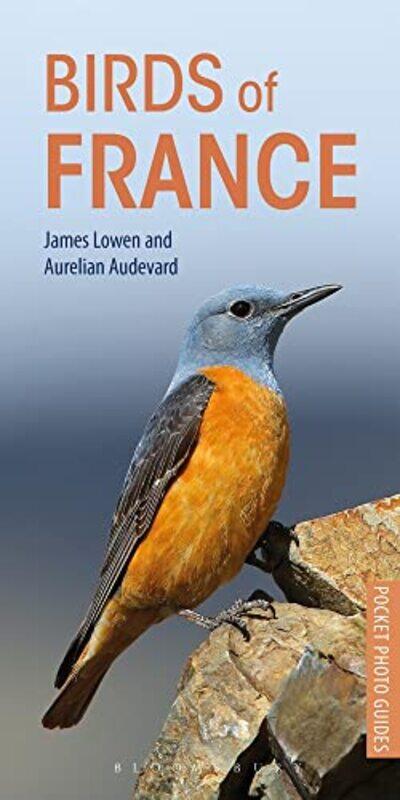 

Birds of France by Julie KingMatthew PalmerGeoff KerseyGrahame BoothStephen Coates-Paperback