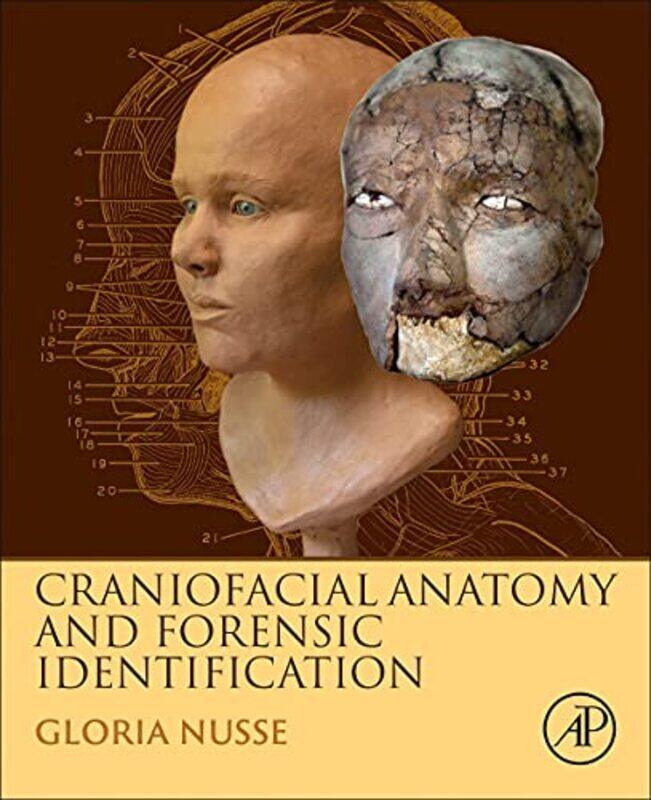 

Craniofacial Anatomy and Forensic Identification by Gloria Forensic Artist and Professor, San Francisco State University, San Francisco, CA, USA Nusse