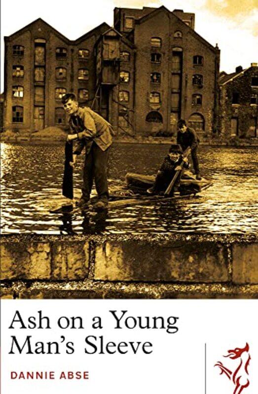 

Ash on a Young Mans Sleeve by Dannie Abse-Paperback