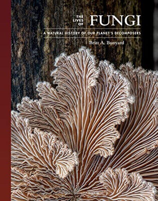 

The Lives of Fungi by Steve Finan-Hardcover