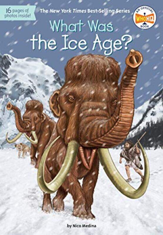 

What Was The Ice Age By Nico Medina Paperback