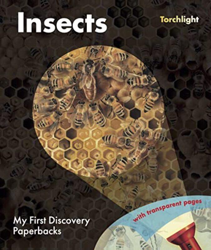 

Insects by Dr Douglas E Rosenau-Paperback