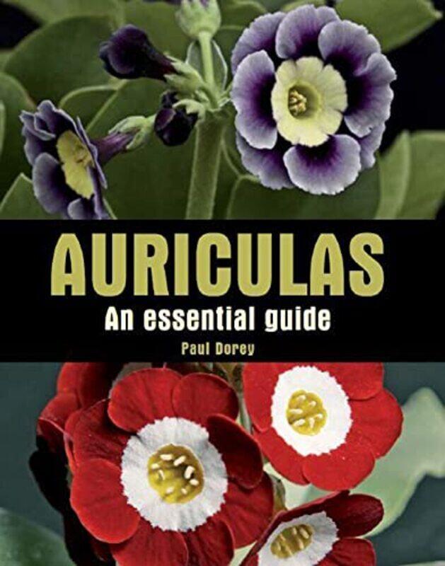 

Auriculas by Peter School of Development Studies University of East Anglia Lloyd-Sherlock-Paperback