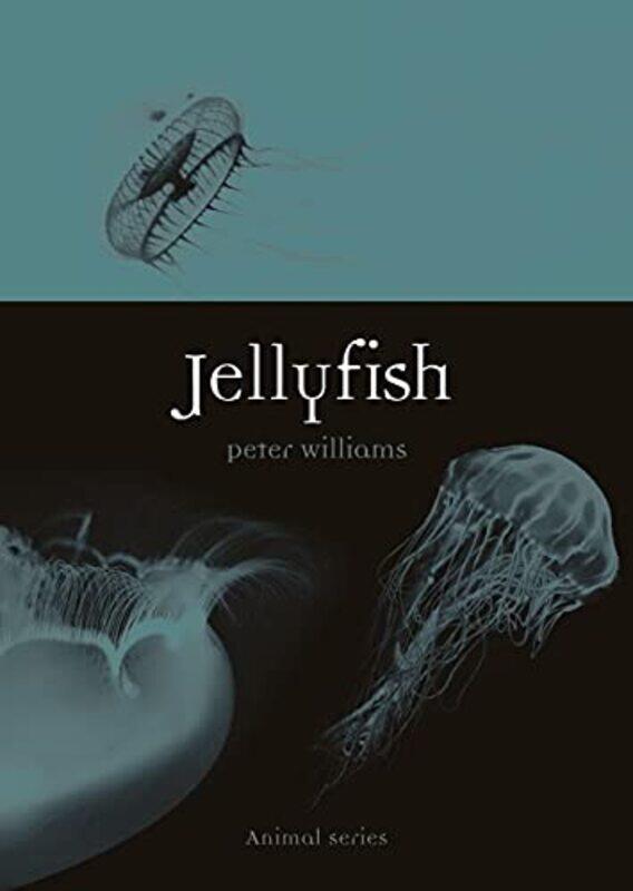 

Jellyfish by Megan Cooley Peterson-Paperback