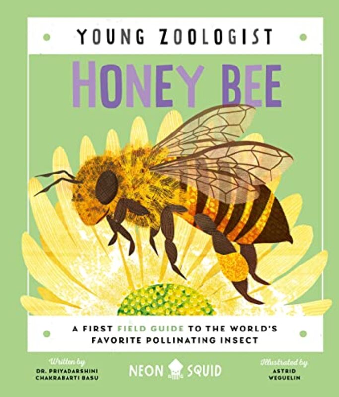 Honey Bee Young Zoologist by National Geographic Kids-Hardcover