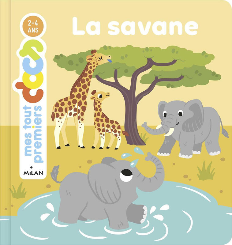 

Savannah, Hardcover Book, By: Joan Boyer, Camille Tisserand