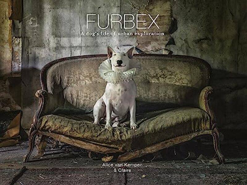 

Furbex by Lindsay BromleyRhodri Thomas-Hardcover