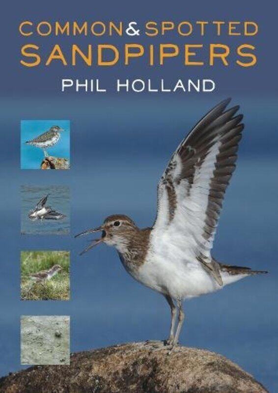 

Common And Spotted Sandpipers by Phil Holland-Paperback