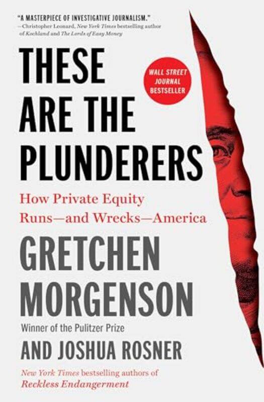 

These Are the Plunderers by Gretchen MorgensonJoshua Rosner -Paperback