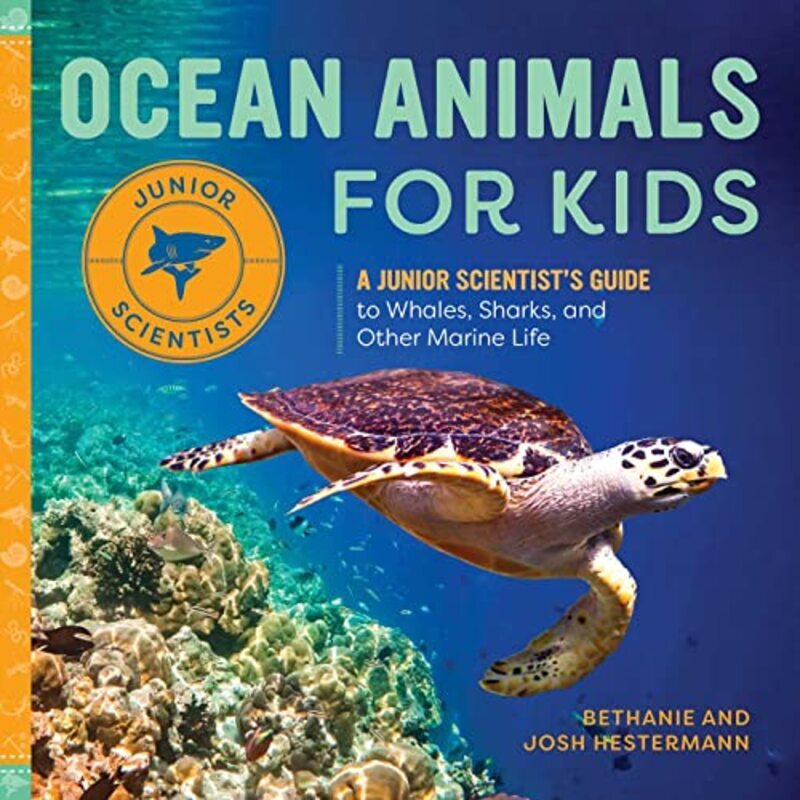 

Ocean Animals For Kids by Bethanie Hestermann Paperback