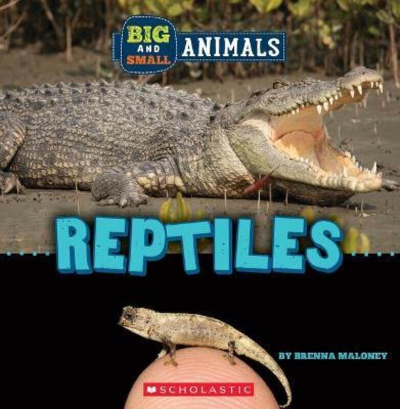 

Big And Small: Reptiles (Wild World),Paperback, By:Brenna Maloney