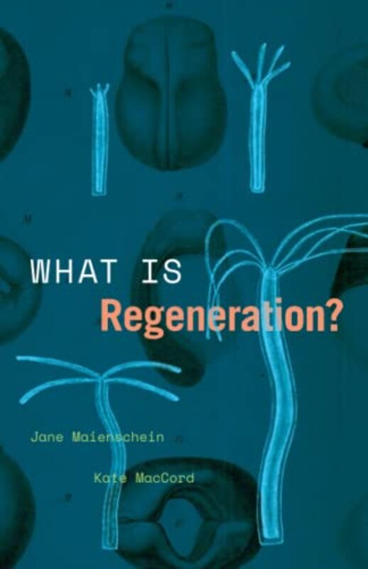 What Is Regeneration? by Jane MaienscheinKate MacCord-Paperback