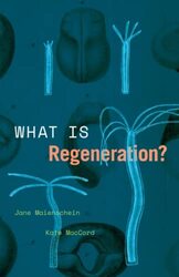 What Is Regeneration? by Jane MaienscheinKate MacCord-Paperback