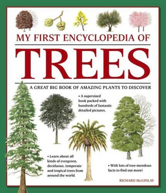 

My First Encyclopedia of Trees giant Size by Jennifer C Nash-Paperback