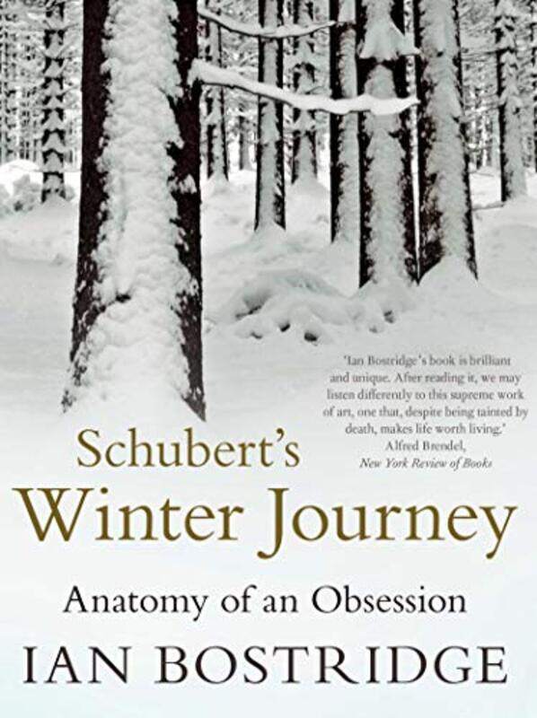 

Schuberts Winter Journey by Dr Ian, CBE Author Bostridge-Paperback