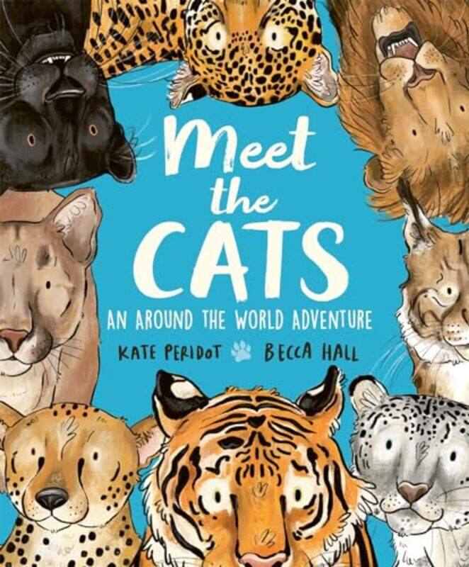 

Meet the Cats by Haynes Publishing-Hardcover