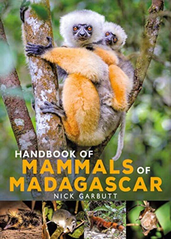 

Handbook of Mammals of Madagascar by Joseph RothMichael Hofmann-Hardcover