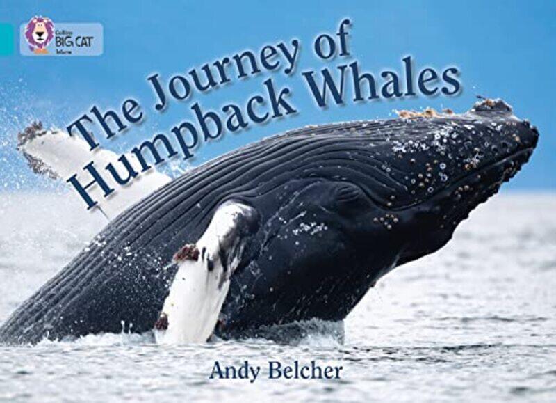 

The Journey Of Humpback Whales: Band 07/Turquoise (Collins Big Cat) By Belcher, Andy - Collins Big Cat Paperback