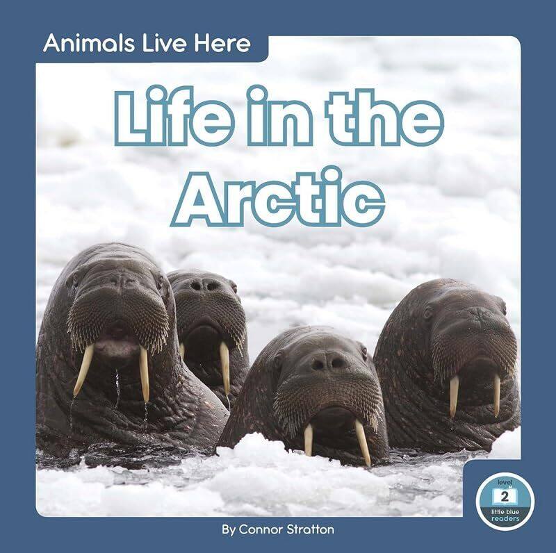 

Animals Live Here Life in the Arctic by Nicola Manchester Metropolitan University UK WhittonAlex University of Leicester UK Moseley-Paperback