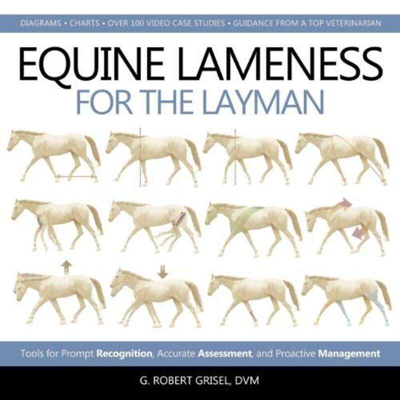 

Equine Lameness for the Layman by Florian HolsboerAndreas Strohle-Hardcover