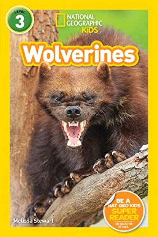 

Wolverines L3 By Stewart Melissa - Paperback