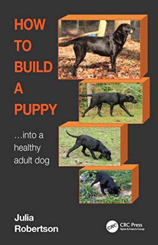 

How to Build a Puppy by Professor Steven G Ellis-Paperback
