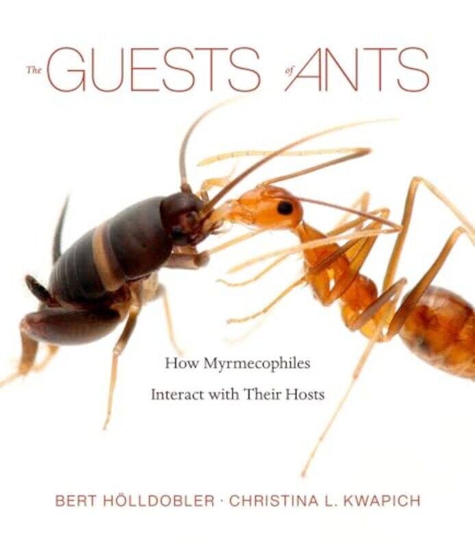 

The Guests of Ants by Robin Twiddy-Hardcover