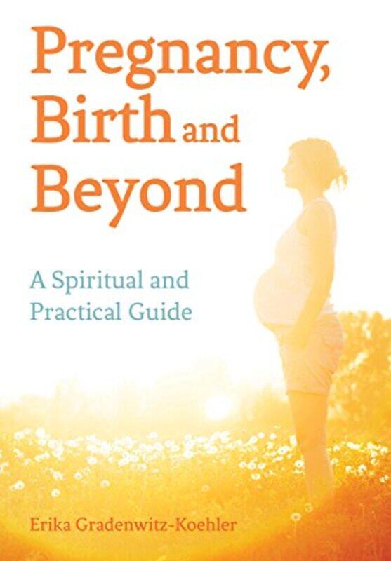 

Pregnancy Birth and Beyond by Roland Barthes-Paperback