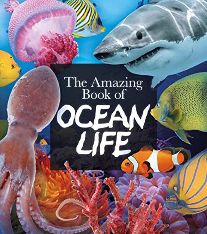

The Amazing Book of Ocean Life by June Andrews-Paperback