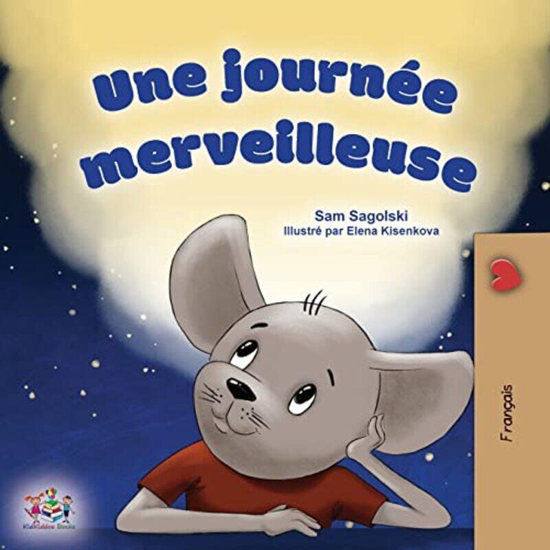 

A Wonderful Day French Childrens Book by Sam SagolskiKidkiddos Books-Paperback