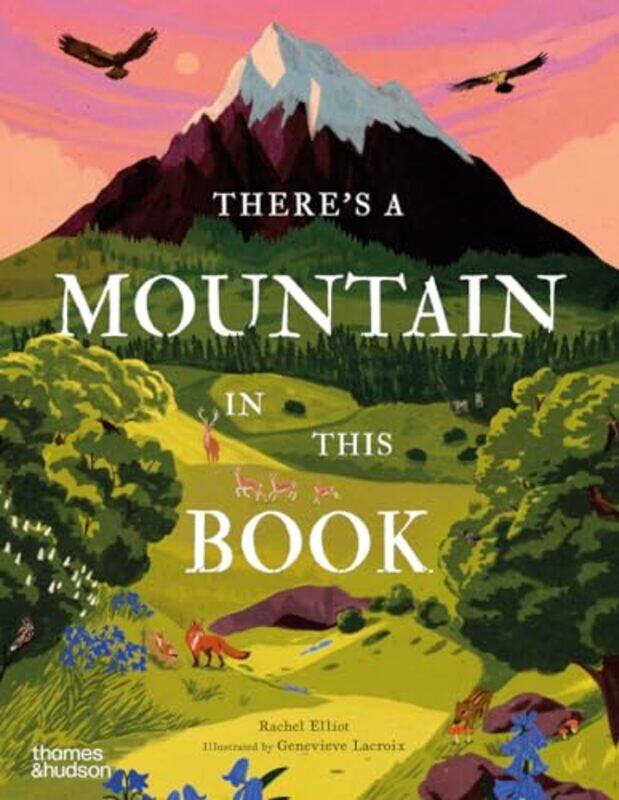 

Theres a Mountain in This Book by Rachel Elliot-Hardcover