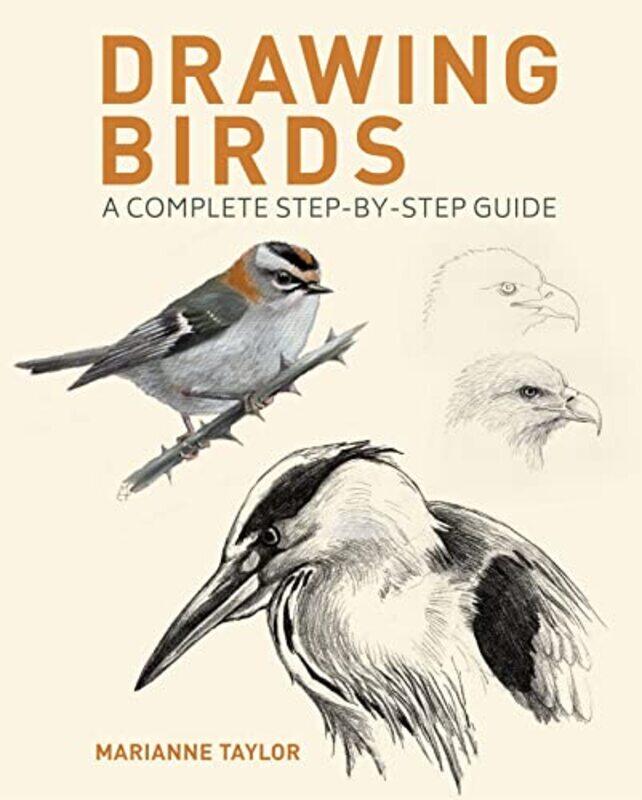 

Drawing Birds By Taylor Marianne - Paperback