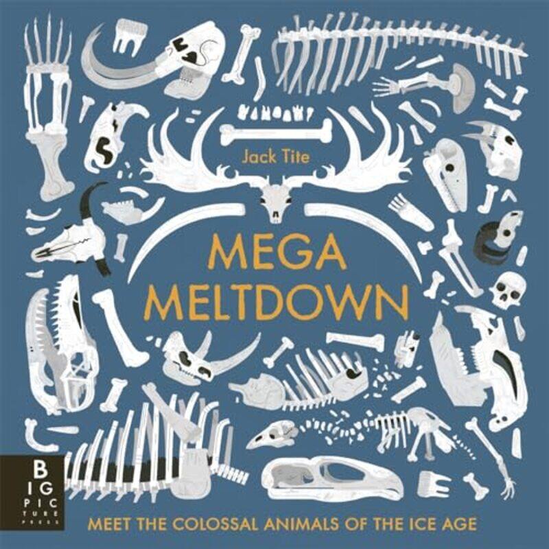 

Mega Meltdown by Aaron John Gulyas-Paperback