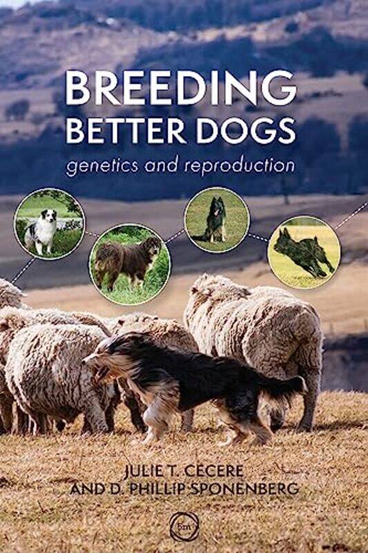 

Breeding Better Dogs by Ben DenneFiona ChandlerKatie DaynesNicole IrvingAnn Johns-Paperback